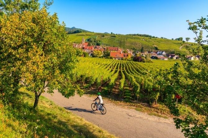 Cycliste sur un chemin rural bordé de vignes et surplombant un village
