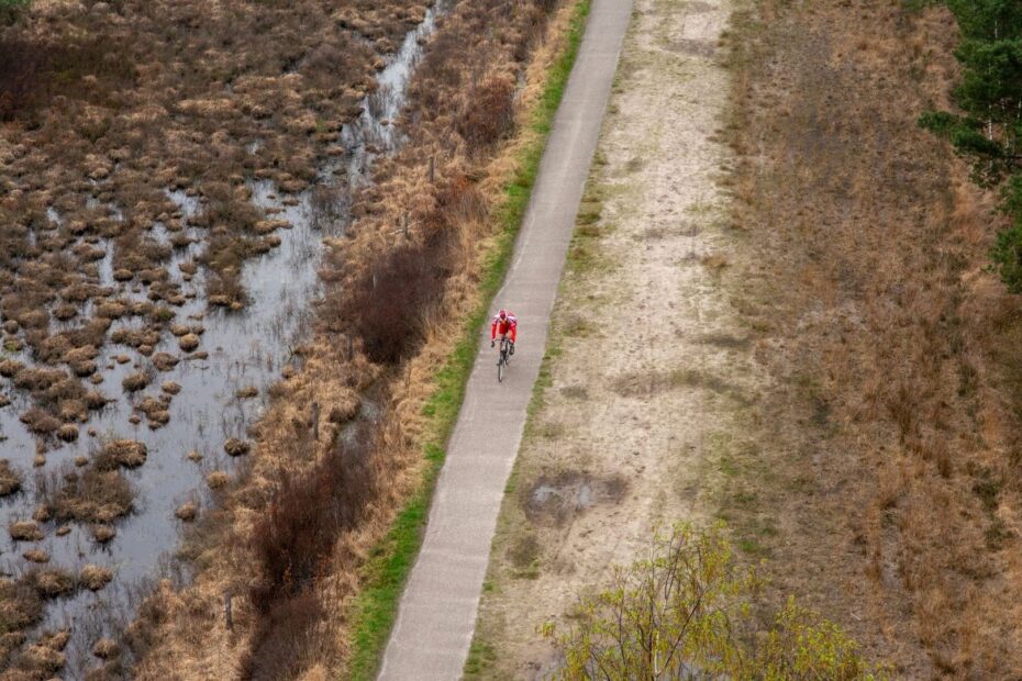 Cycliste sur une voie verte bordant une zone humide rurale