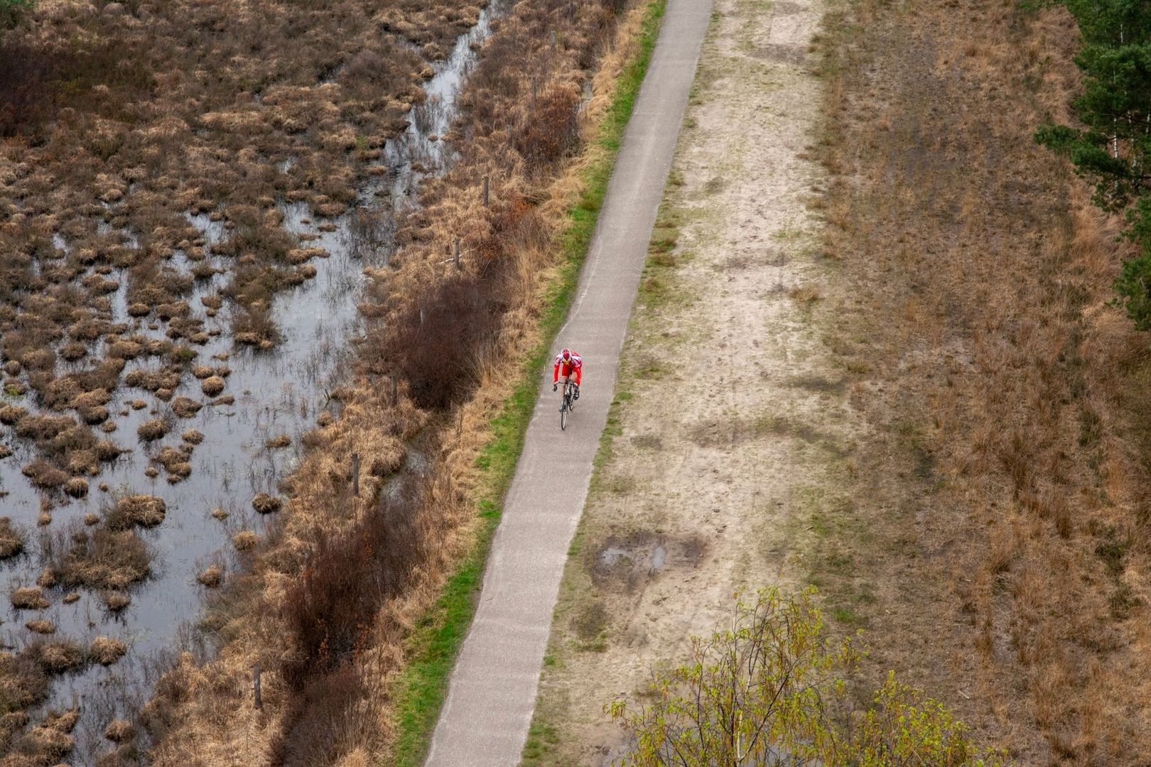 Cycliste sur une voie verte bordant une zone humide rurale