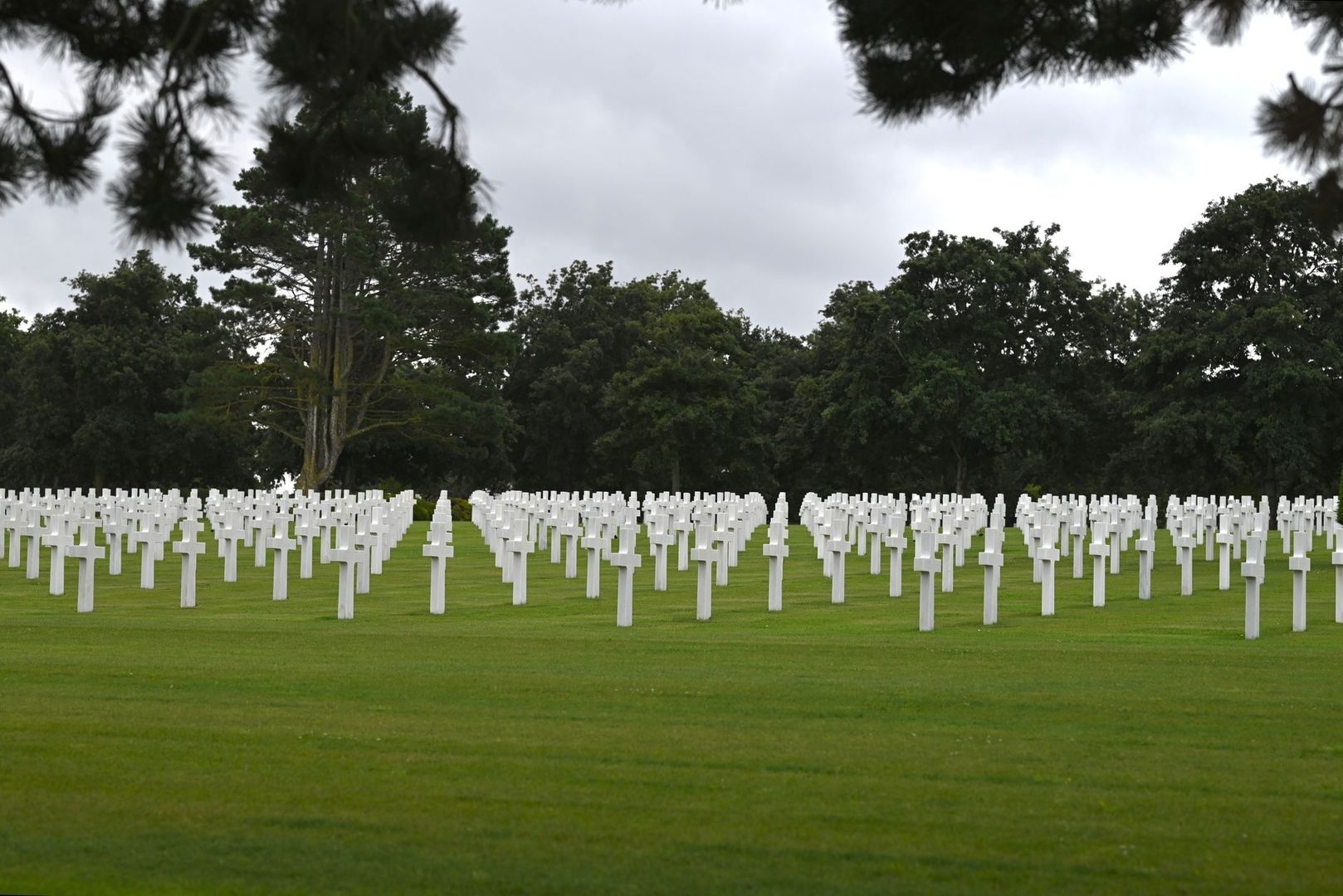 Rangées de croix blanches dans un cimetière militaire arboré